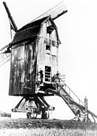 Famille / Familie Van Leeuw - Roelandts ca. 1905